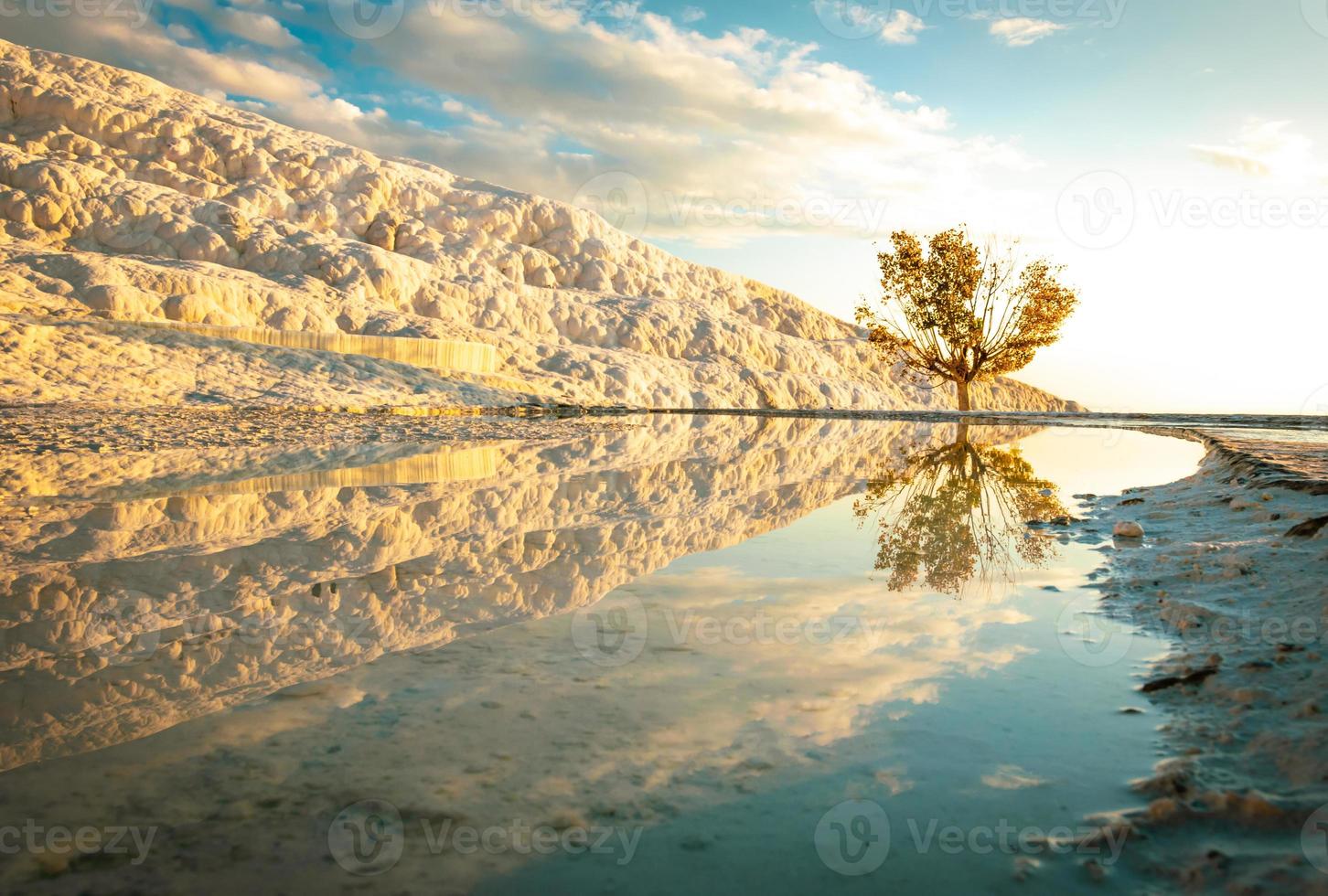 Golden tree and trevertines reflections in mineral spring water. Landscape photography in Pamukkale. Dramatic destination in Turkey. photo