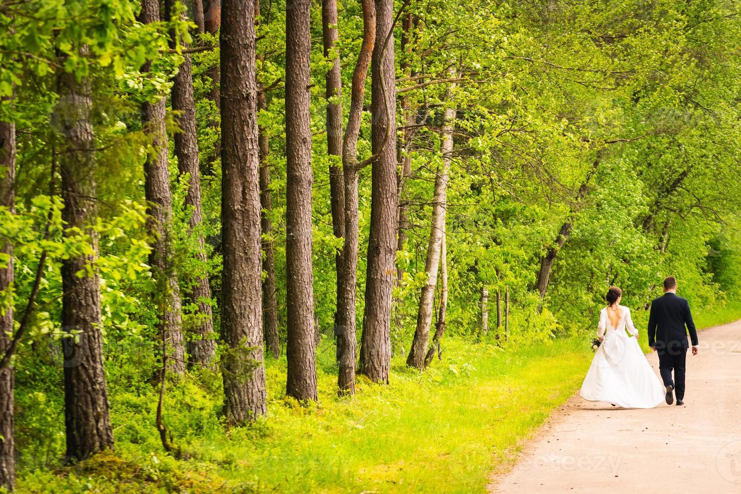 Back view wedding couple walk together on asphalt road outdoors in spring nature by giant trees . Long sleeve ballgown dress style on wedding outdoors concept photo