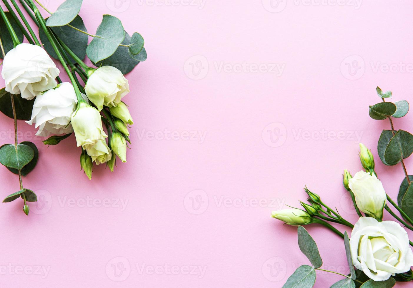 flores blancas de eustoma foto