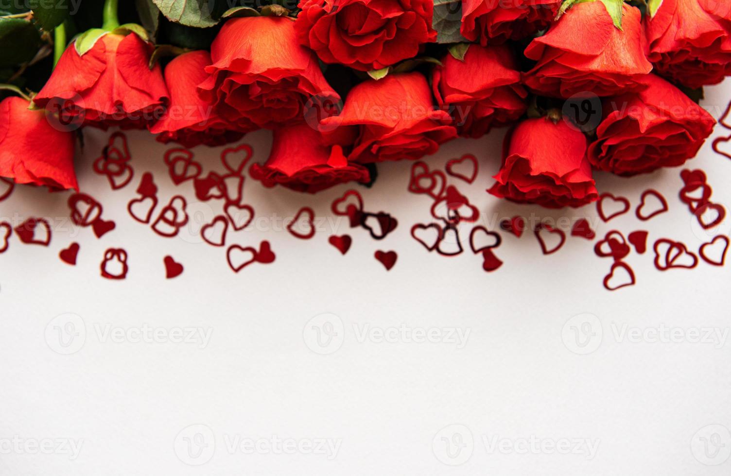 Red roses on a white background photo