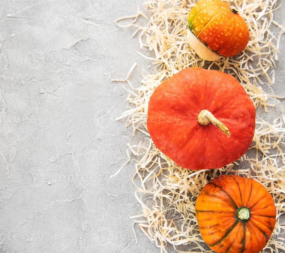 coloridas calabazas de otoño foto