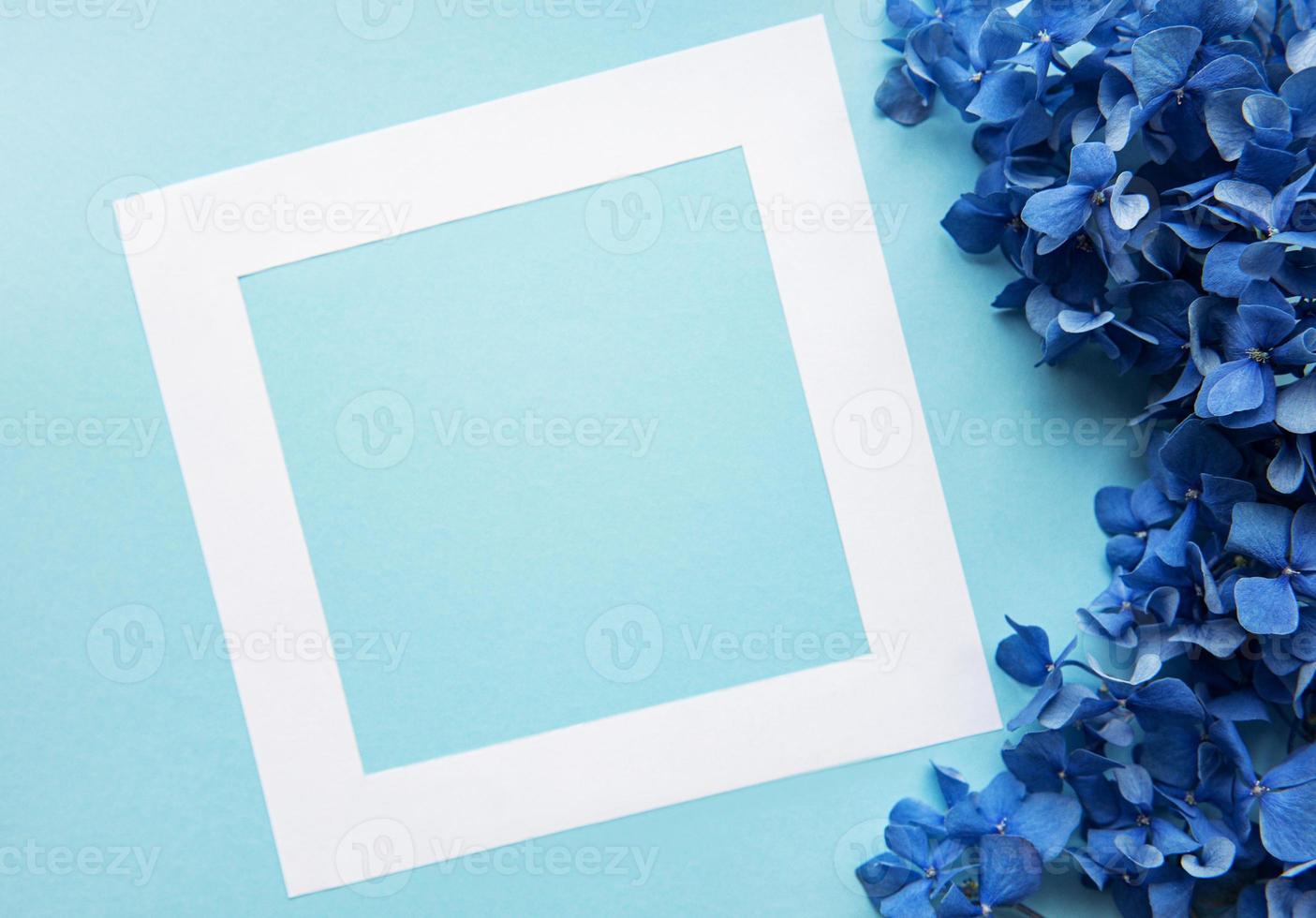 White frame and blue hydrangea flowers photo