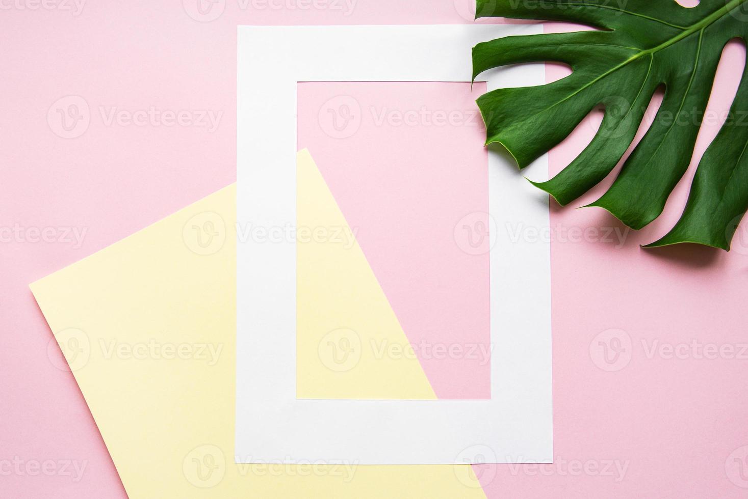 White frame and monster leaf photo