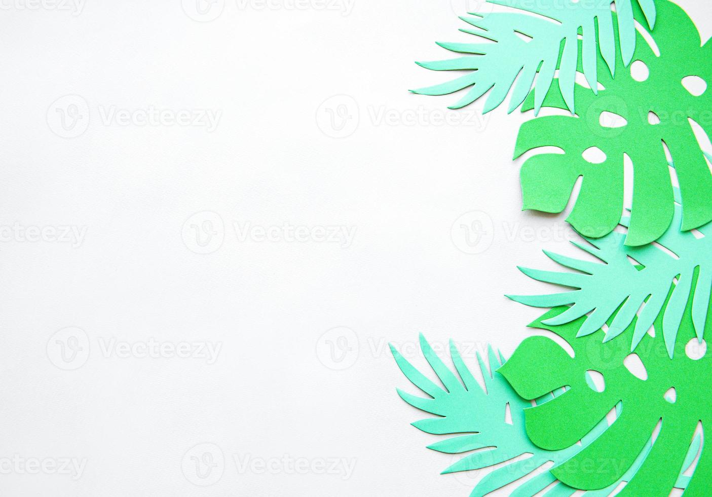 Paper monstera leaves photo