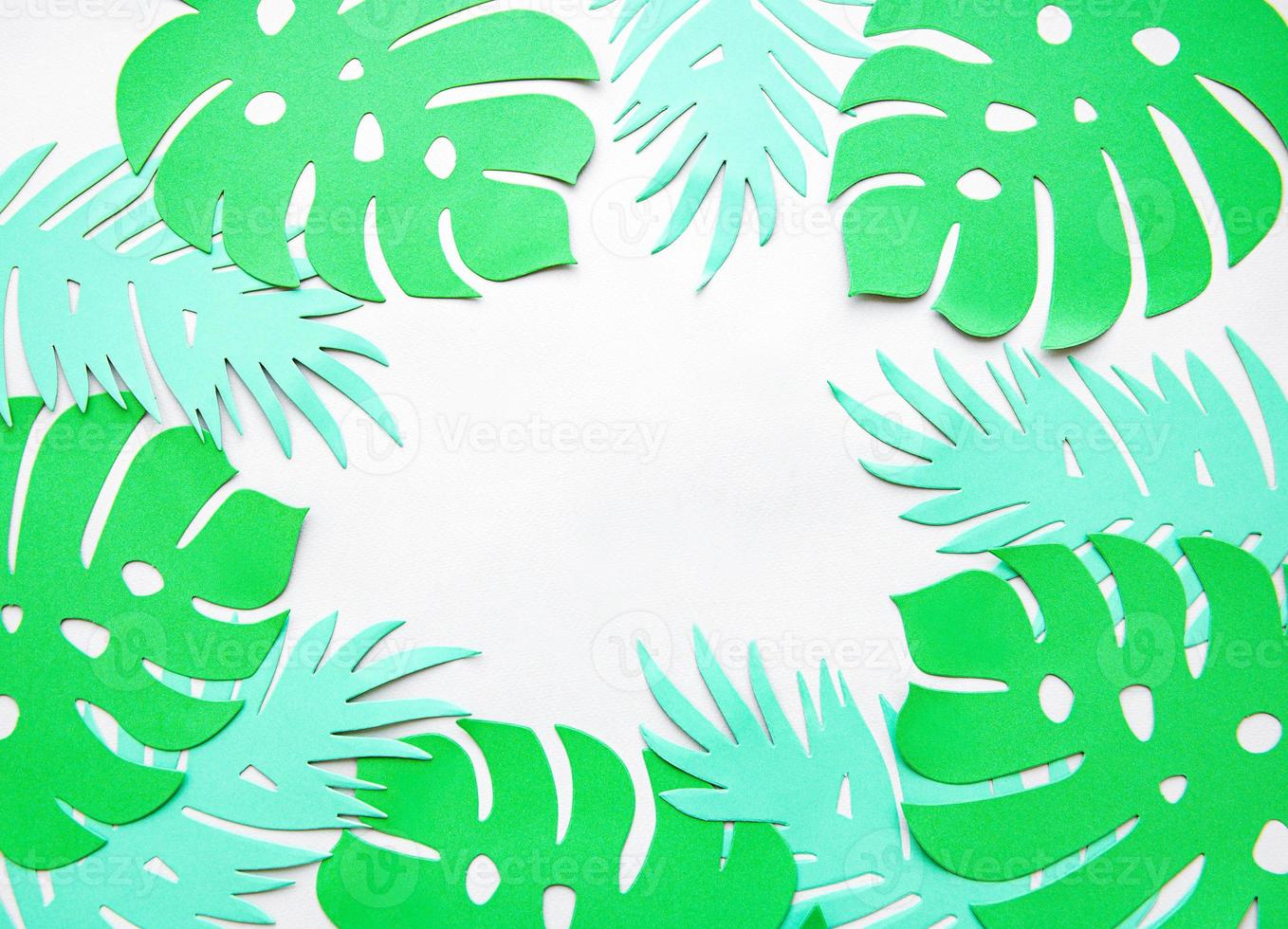 Paper monstera leaves photo