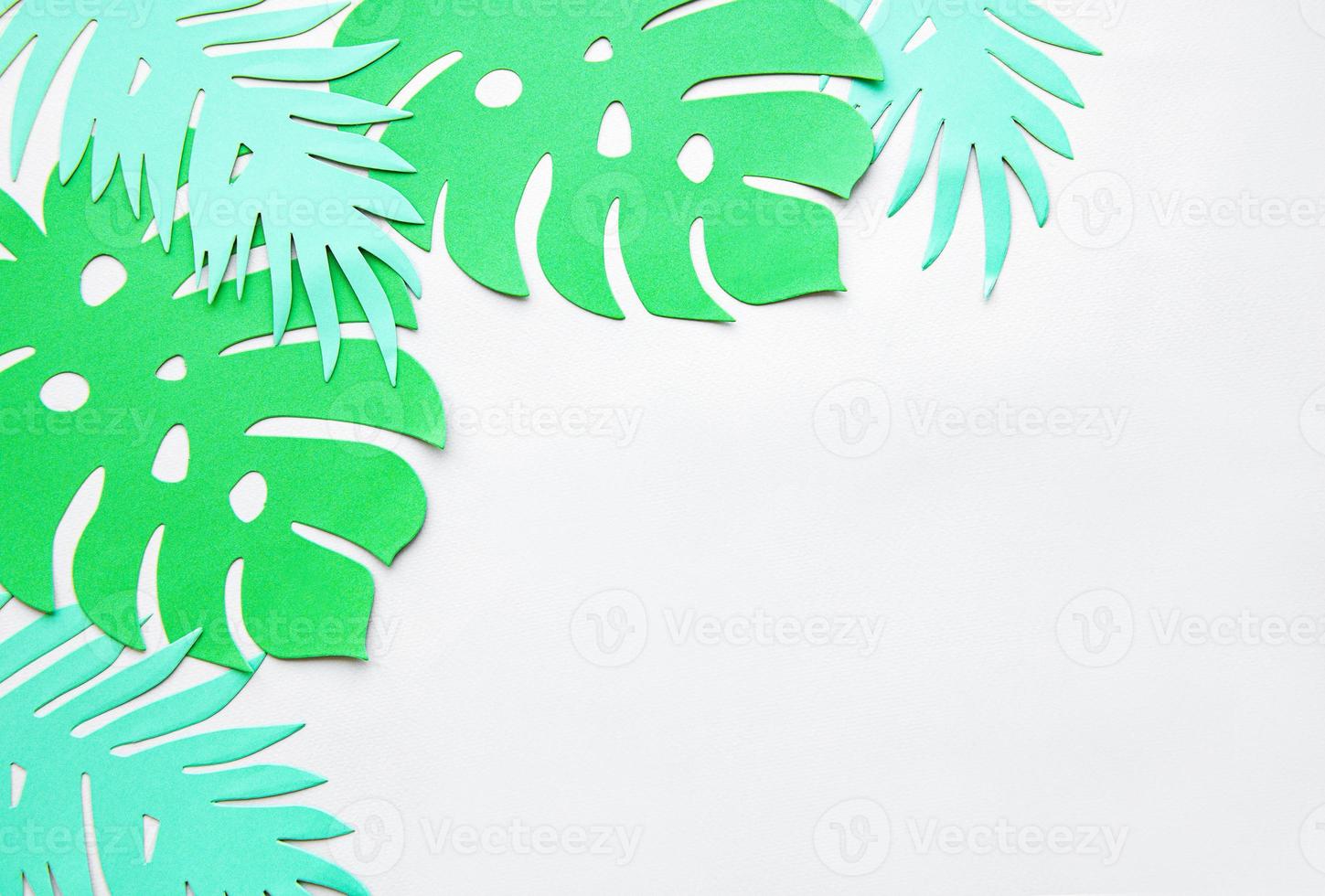Paper monstera leaves photo