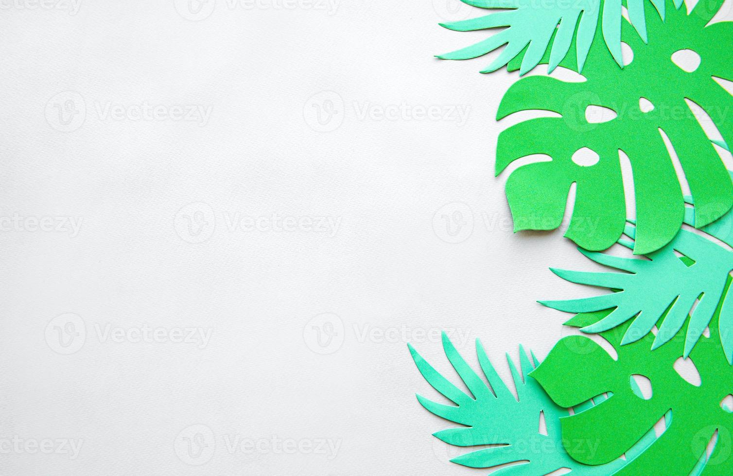 Paper monstera leaves photo