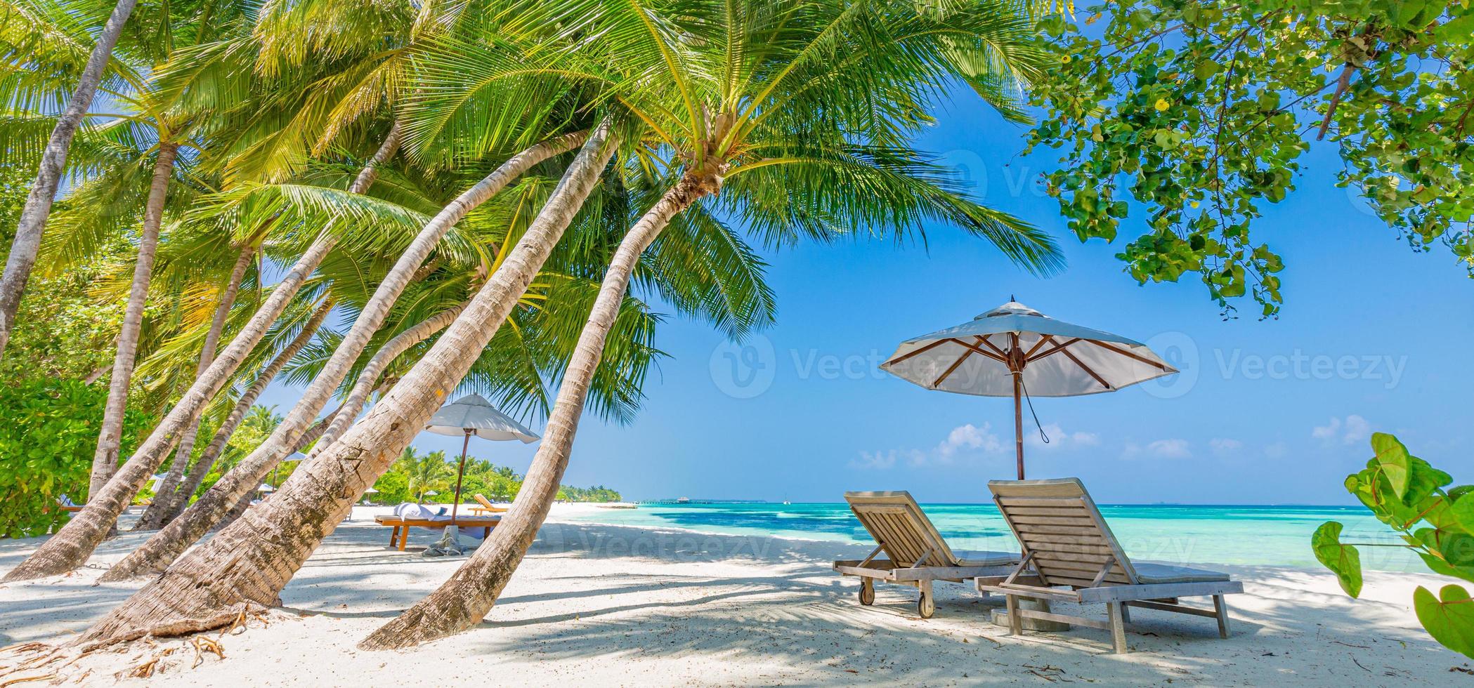 Tropical beach nature as summer landscape with lounge chairs and palm trees and calm sea for beach banner. Luxurious travel landscape, beautiful destination for vacation or holiday. Seaside photo