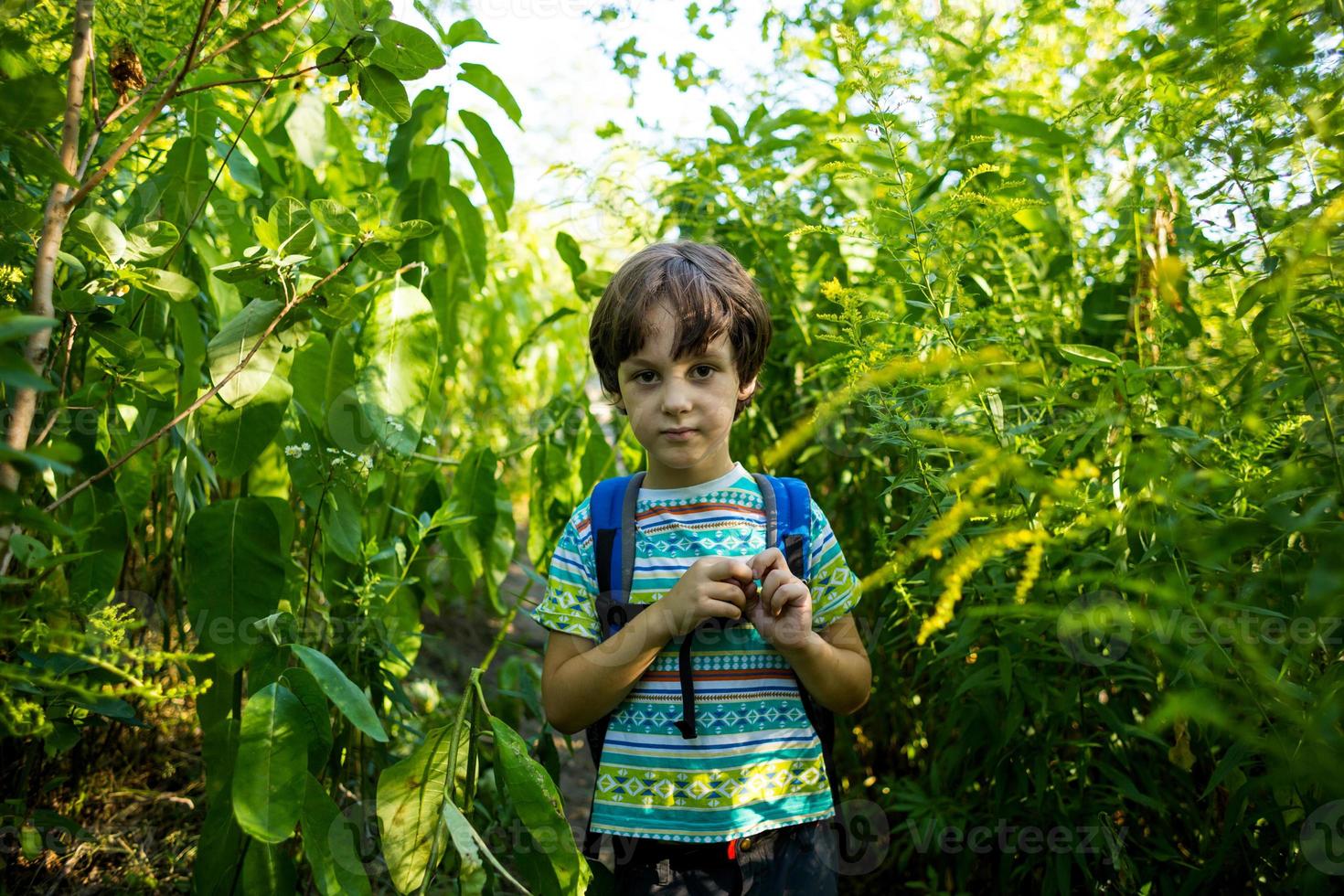 A boy with a backpack walks through the forest photo