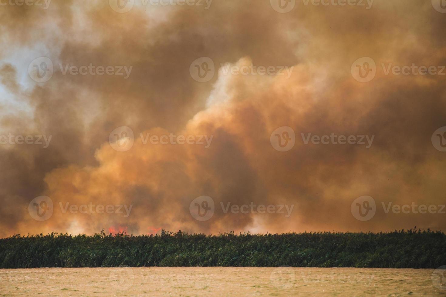 grandes nubes de humo, fuego en la naturaleza. foto