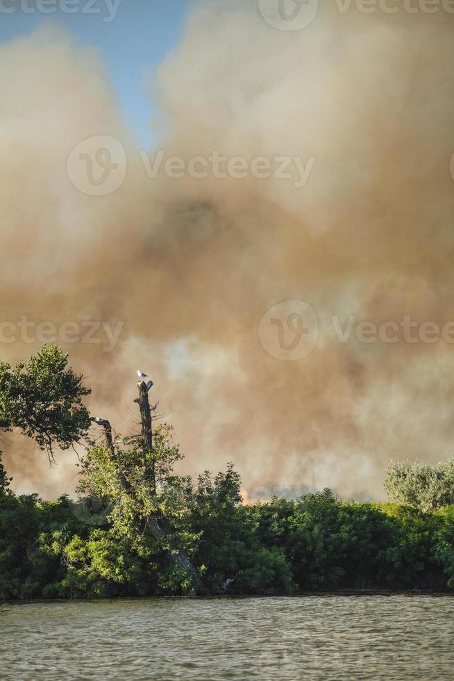 Large clouds of smoke, fire in nature. photo