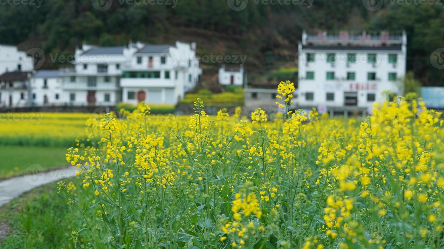The  beautiful and old traditional Chinese village view with the mountains around it located in the countryside of the southern China photo
