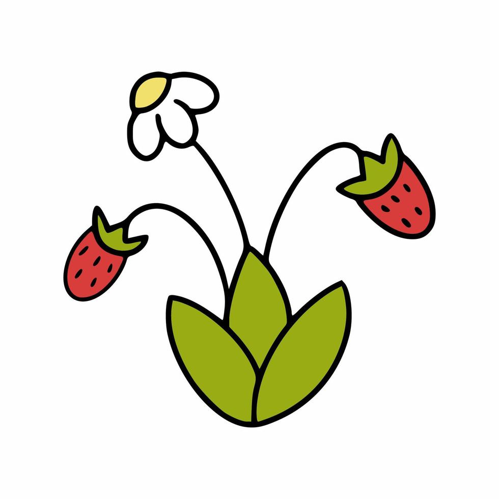 arbusto con baya de fresa. fresas en ramita. una planta estilo garabato. vector