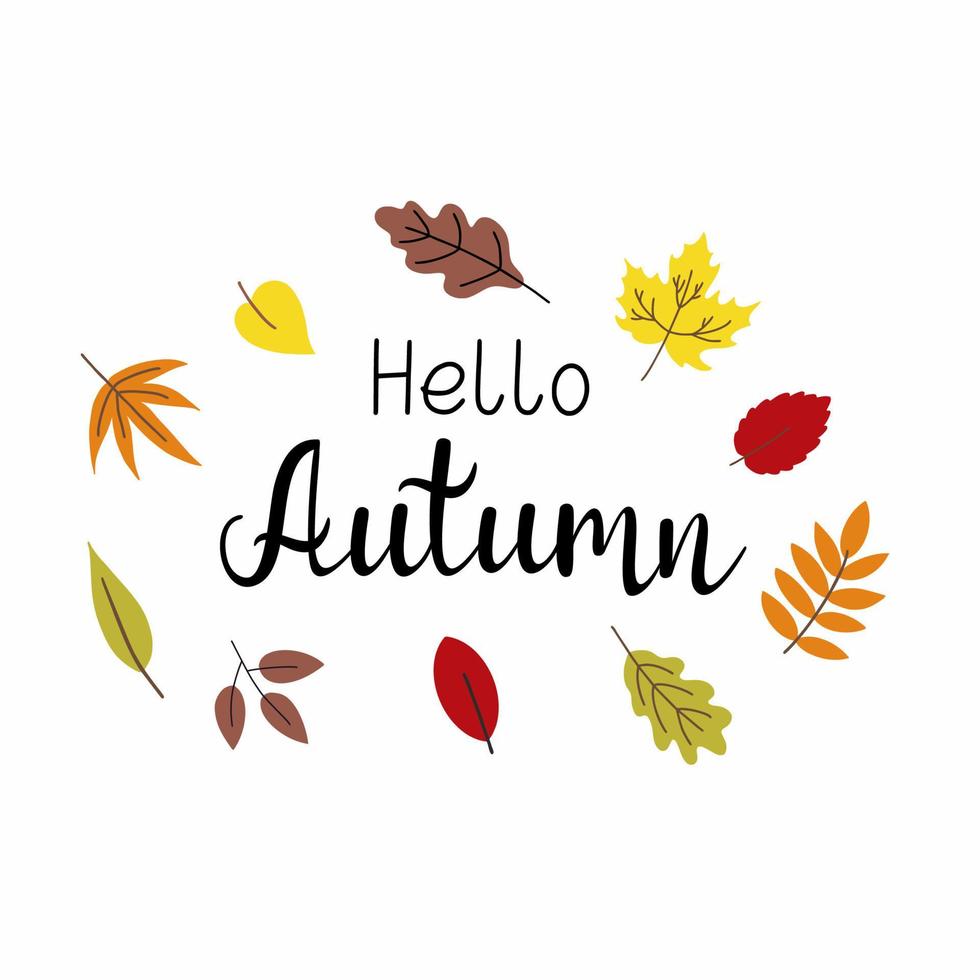 Inscription Hello, autumn by hand. Cute autumn lettering. Golden and red leaves. vector