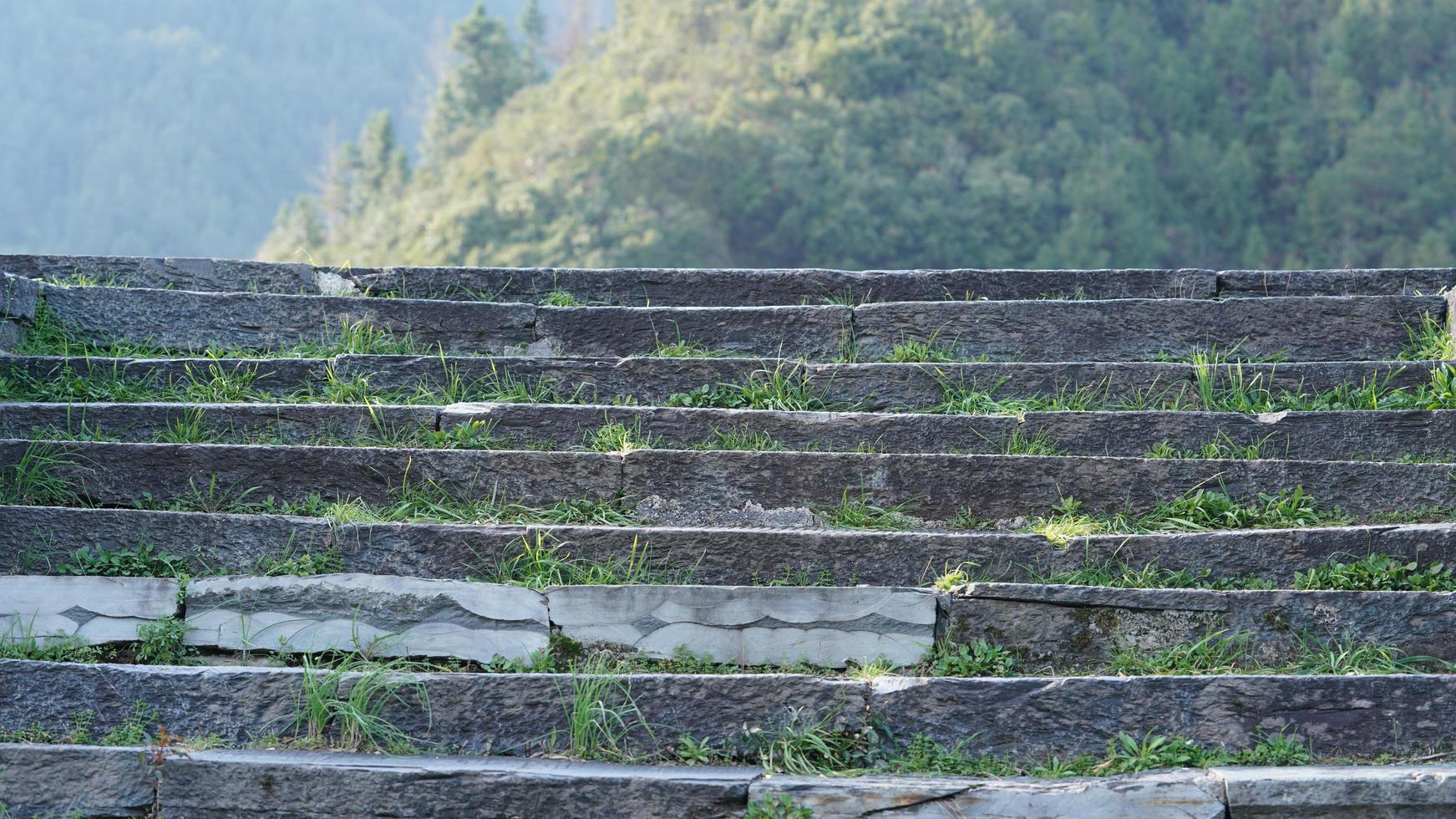 Vista de las escaleras del antiguo puente de piedra con la hierba que crece en el campo de China foto