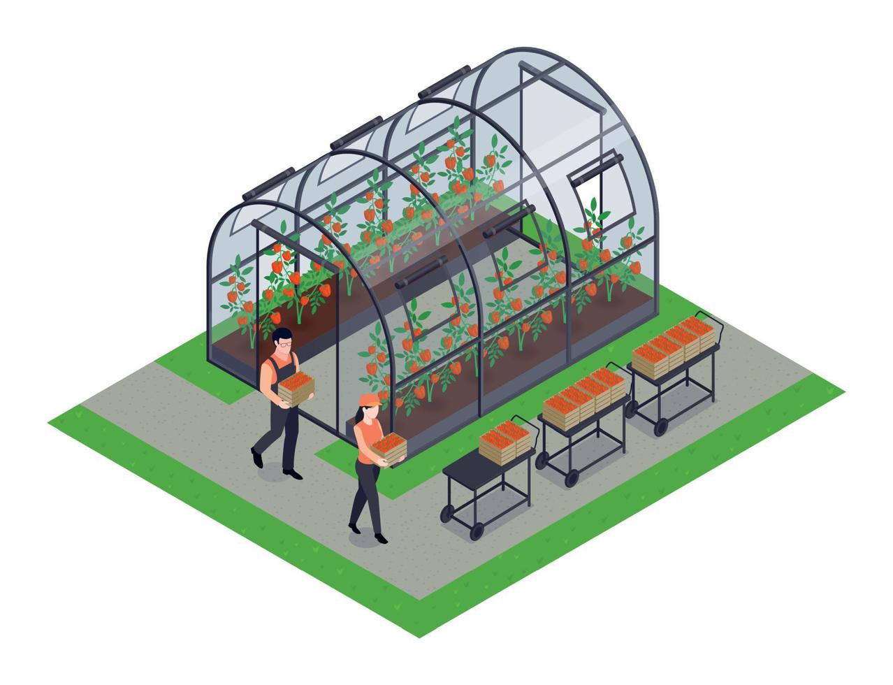 Greenhouse Isometric Element vector