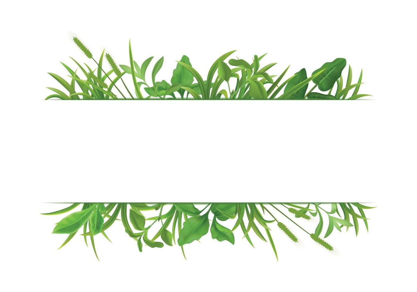 Grass Leaves Realistic Border vector