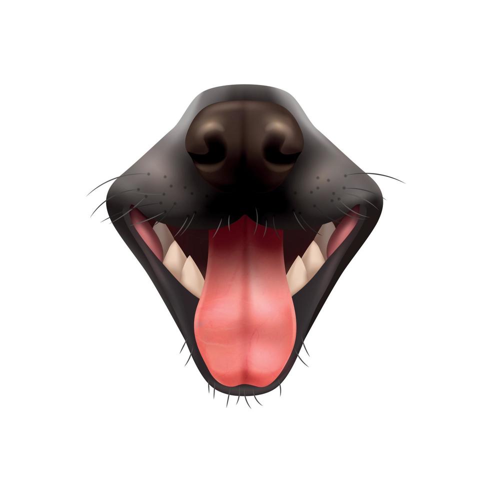 Realistic Dog Mouth vector