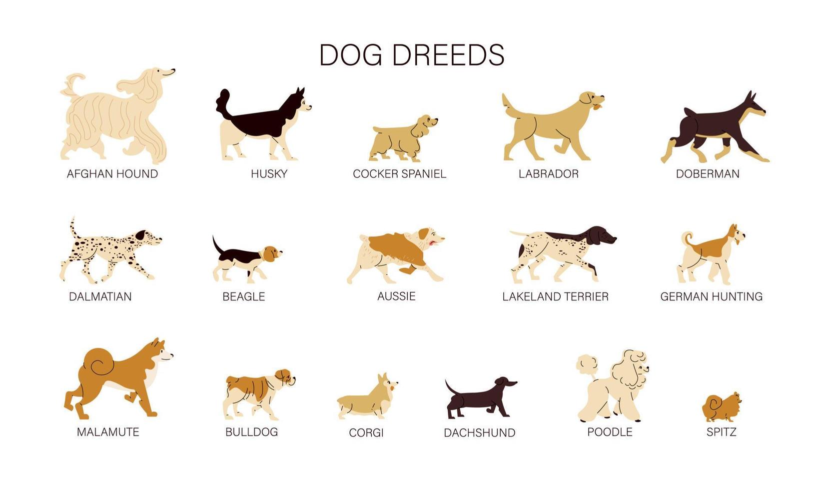 Dog Breeds Set vector