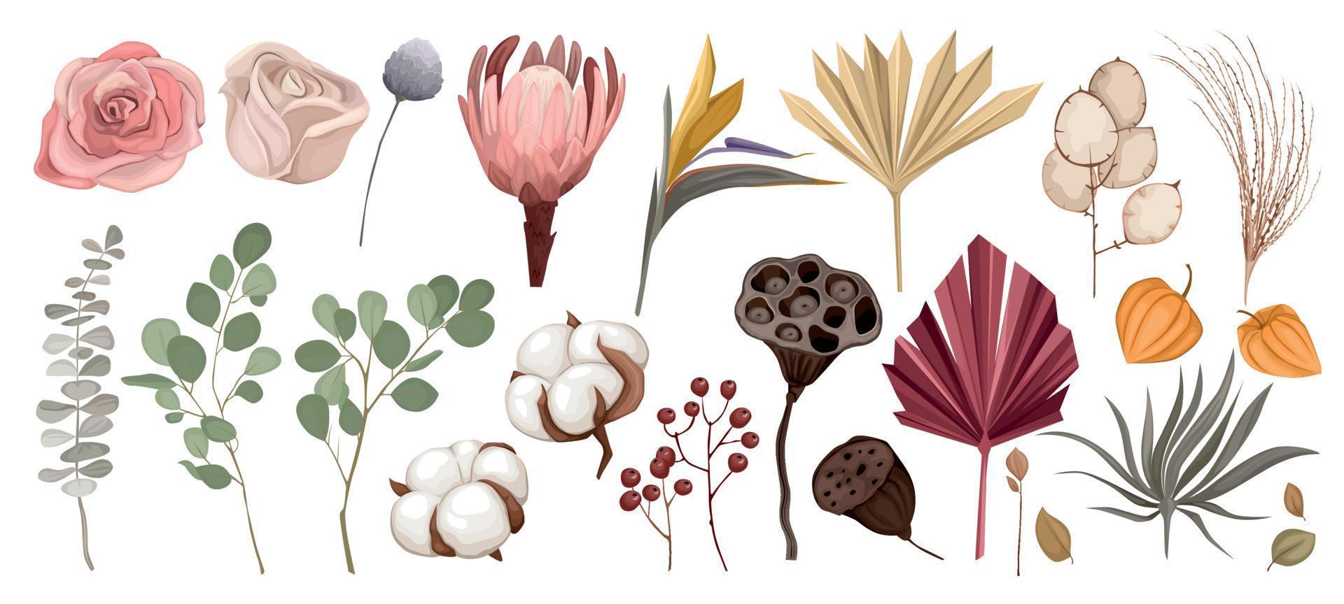 Dried Flowers Icon Set vector