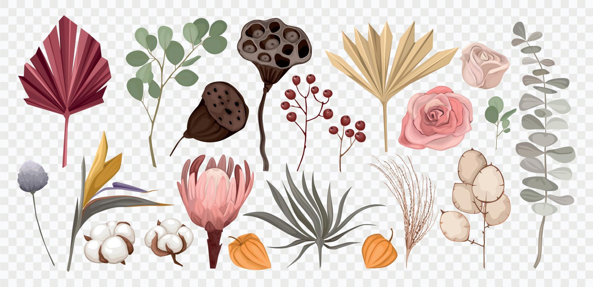 Boho Flowers Transparent Set vector