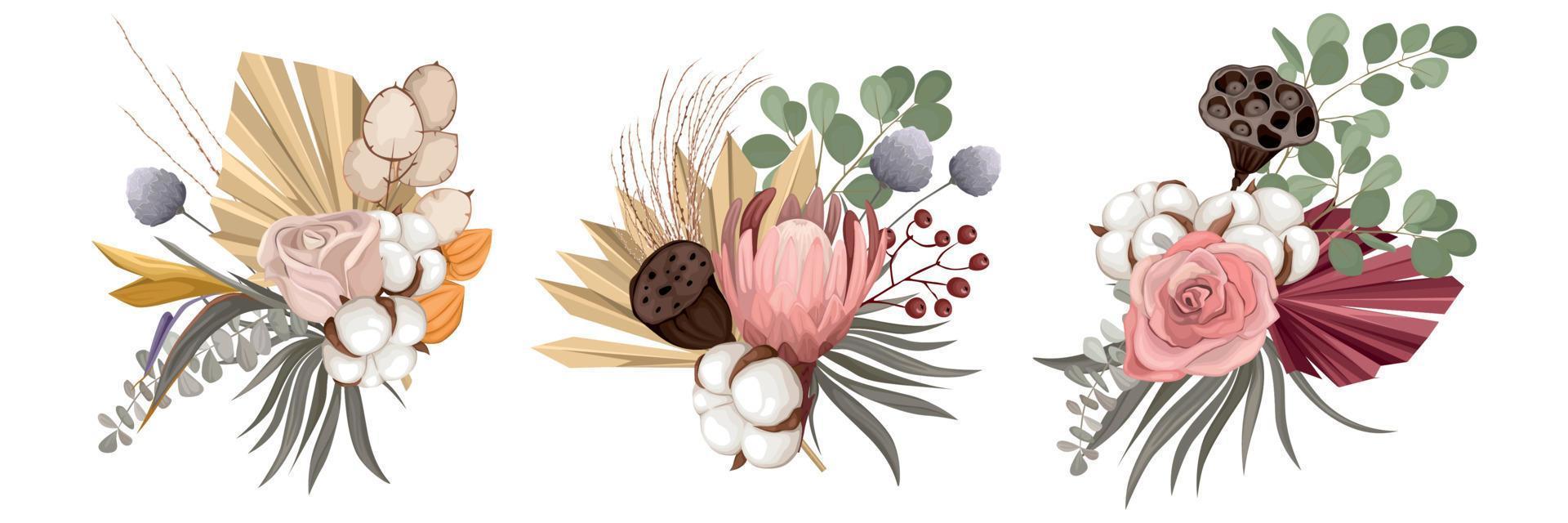 Dried Boho Flowers Compositions vector