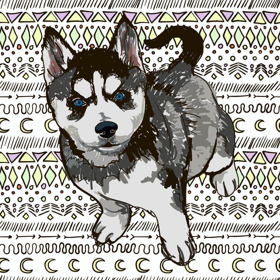 Ilustración vectorial colorida de la raza de perro husky aislado sobre fondo blanco. vector