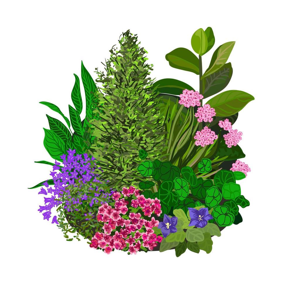 Garden landscapes, summer and spring flower bed. Vector illustrations