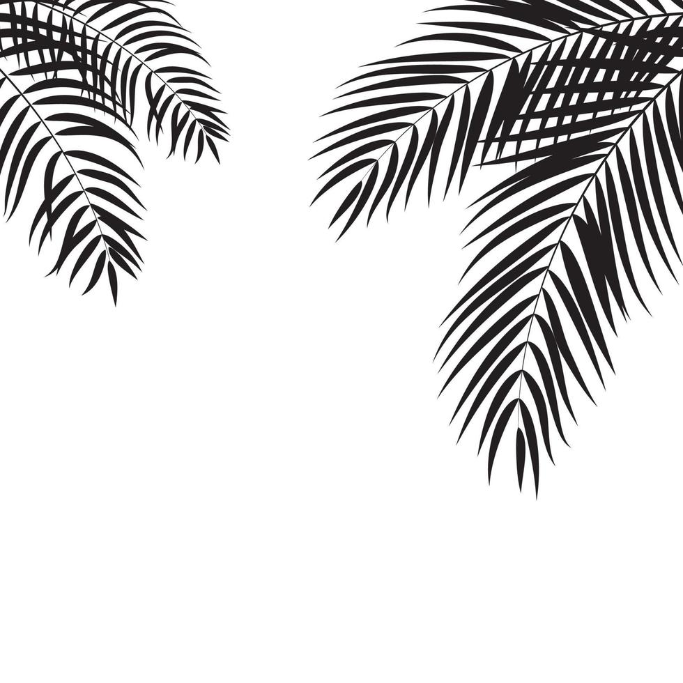 Beautifil Palm Tree Leaf  Silhouette Background Vector Illustration