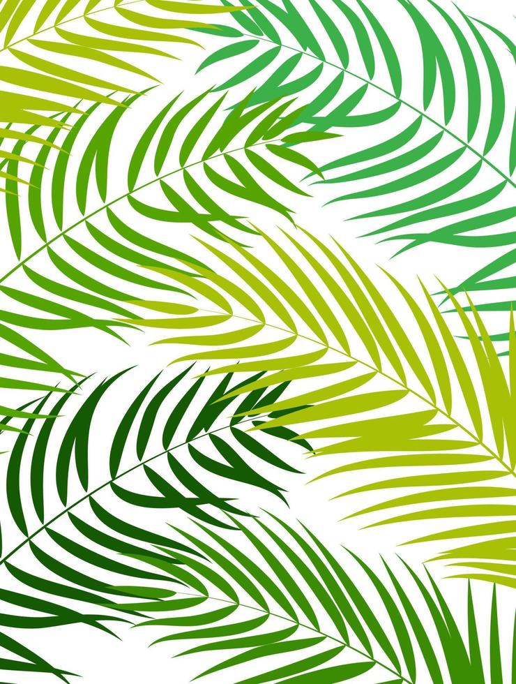 Beautifil Palm Tree Leaf  Silhouette Background Vector Illustration