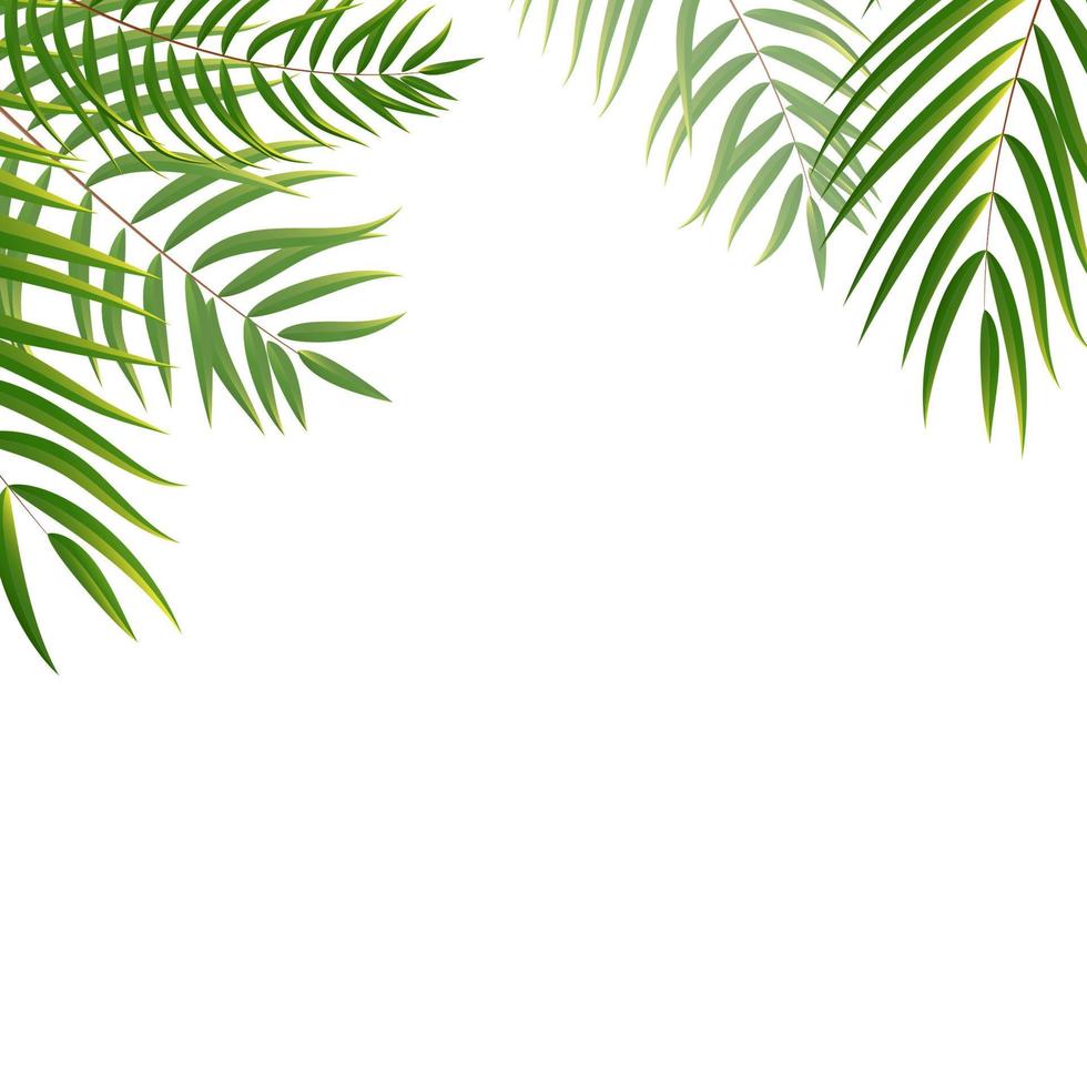 Beautifil Palm Tree Leaf  Silhouette Background Vector Illustration