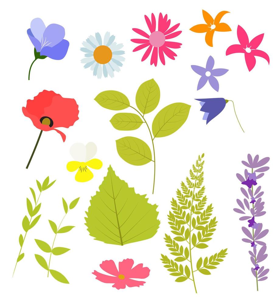 Abstract Natural Spring Elements from Flowers and Leaves. Vector