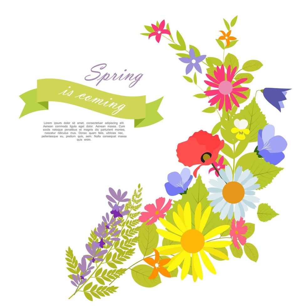 Abstract Natural Spring Background with Flowers and Leaves. Vect vector