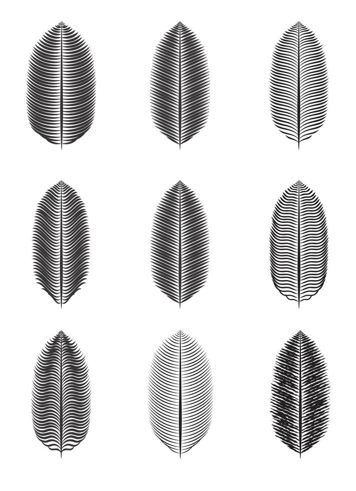 Ilustración de vector aislado de hoja de palma