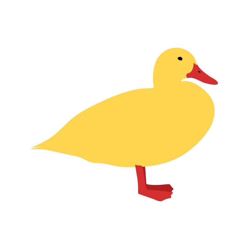 pato amarillo con pico rojo, ilustración vectorial vector