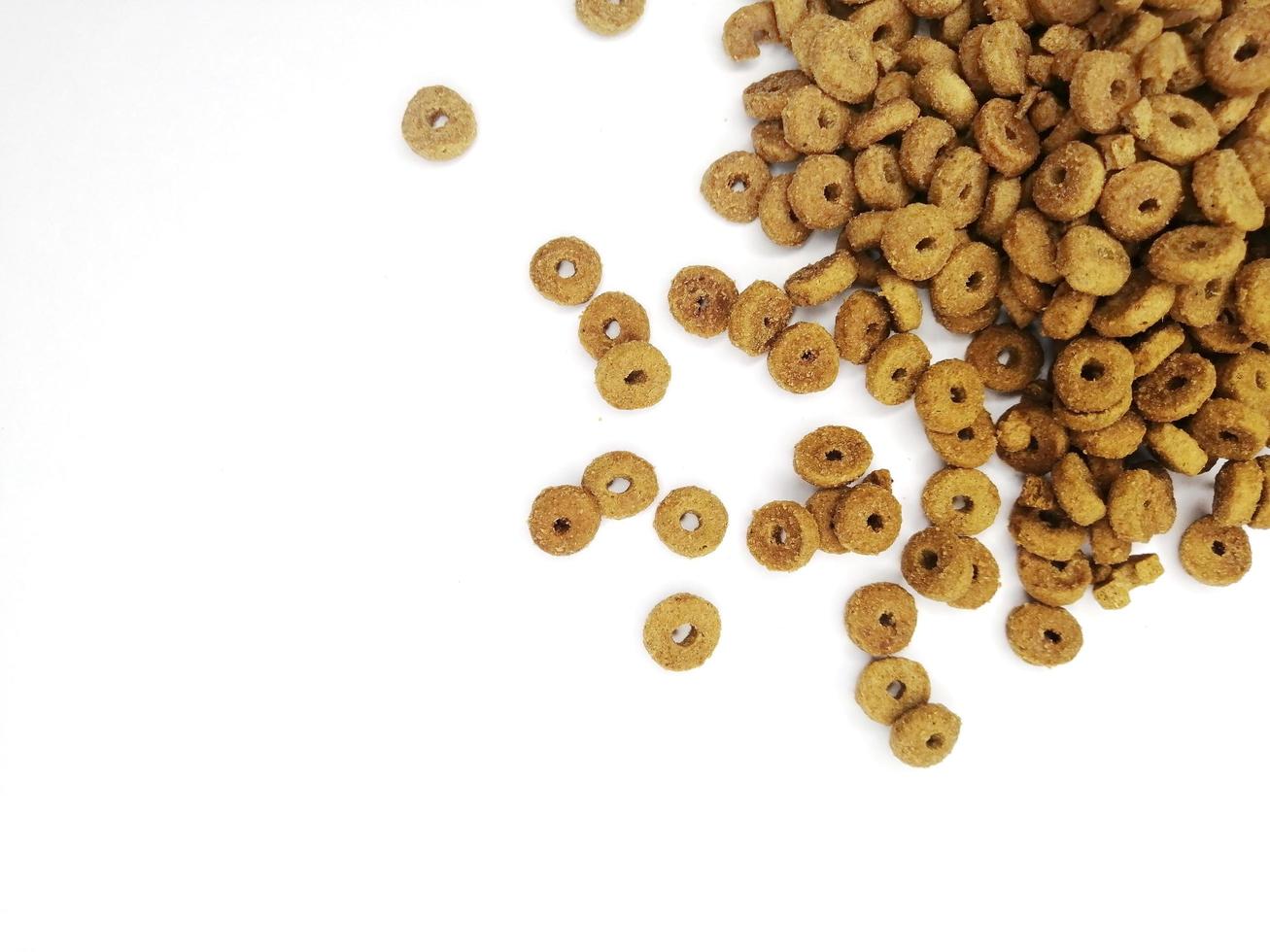 dry pet food scattered - top view, space for text. flat lei wet cat food on a white background. photo