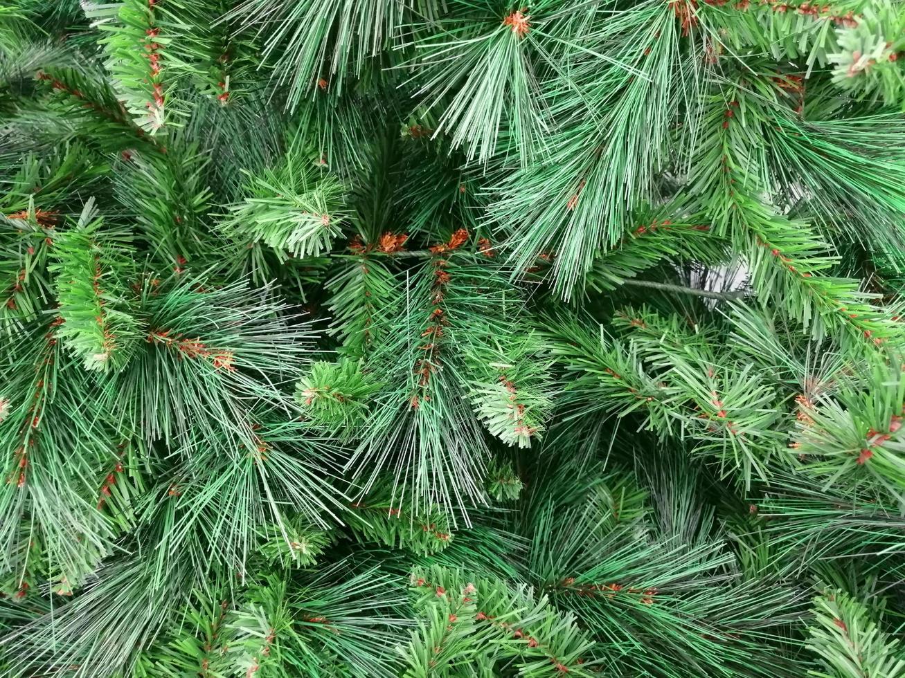 árbol de navidad fondo verde fondos de pantalla foto