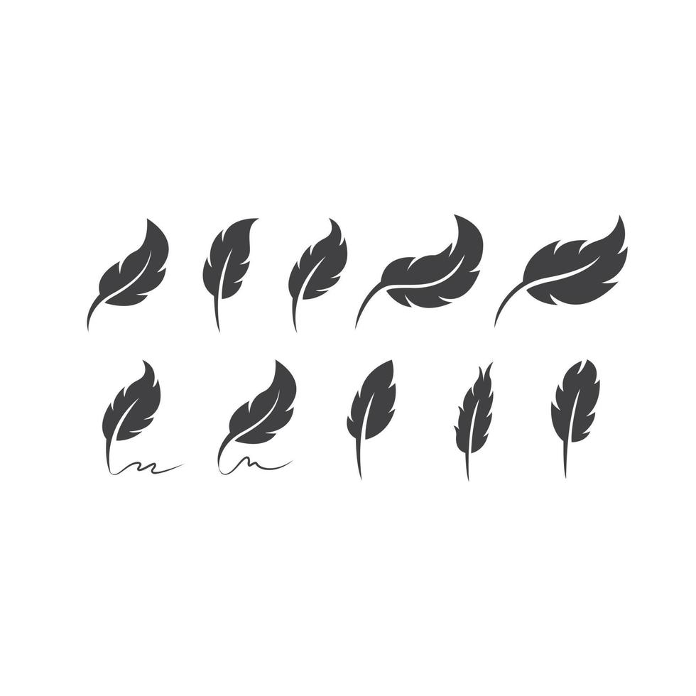 feather logo design template vector