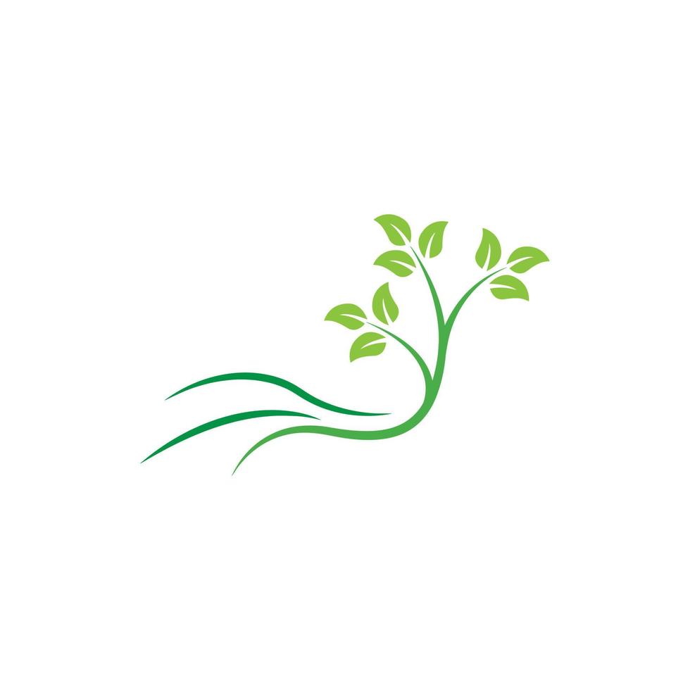 plantilla de diseño de logotipo de hoja de árbol vector