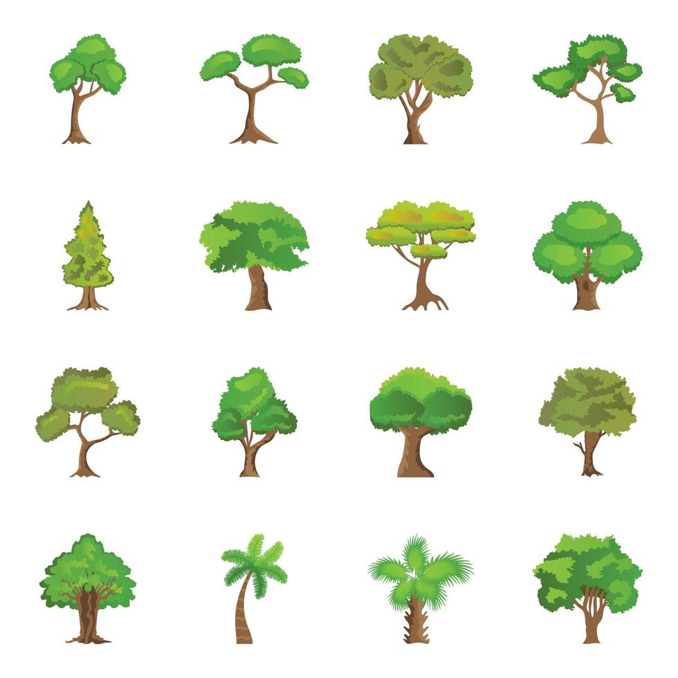 Evergreen Trees Concepts vector