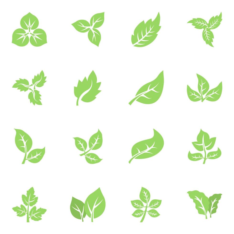 Leafy Foliage Concepts vector