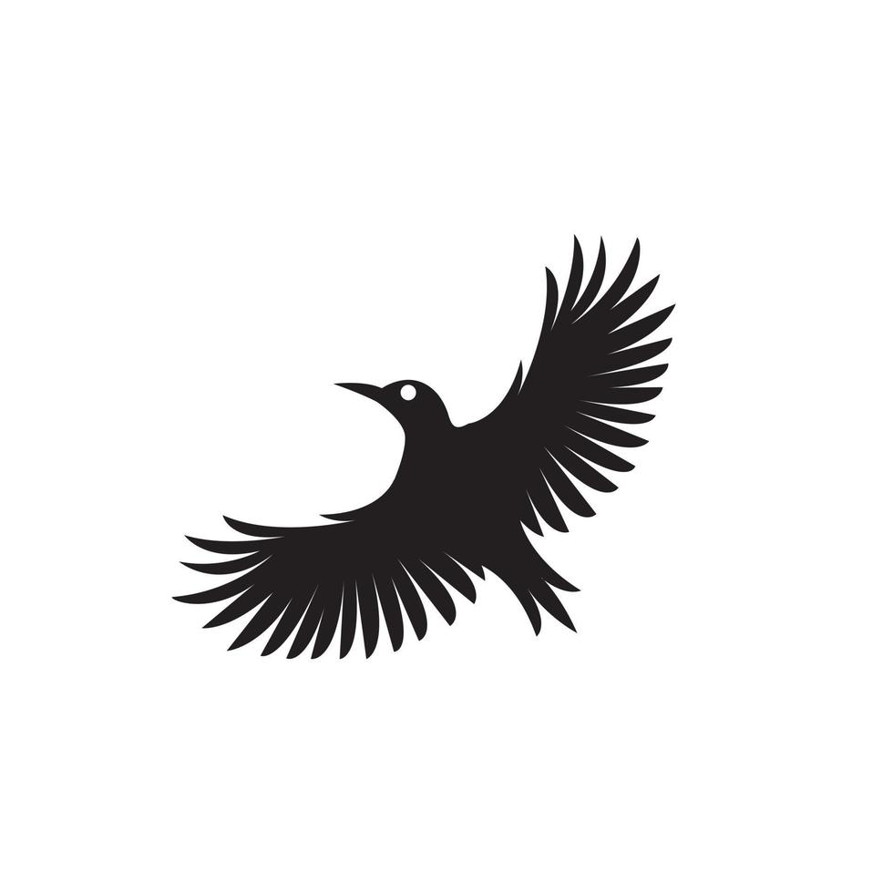 vector de plantilla de diseño de logotipo de pájaro negro