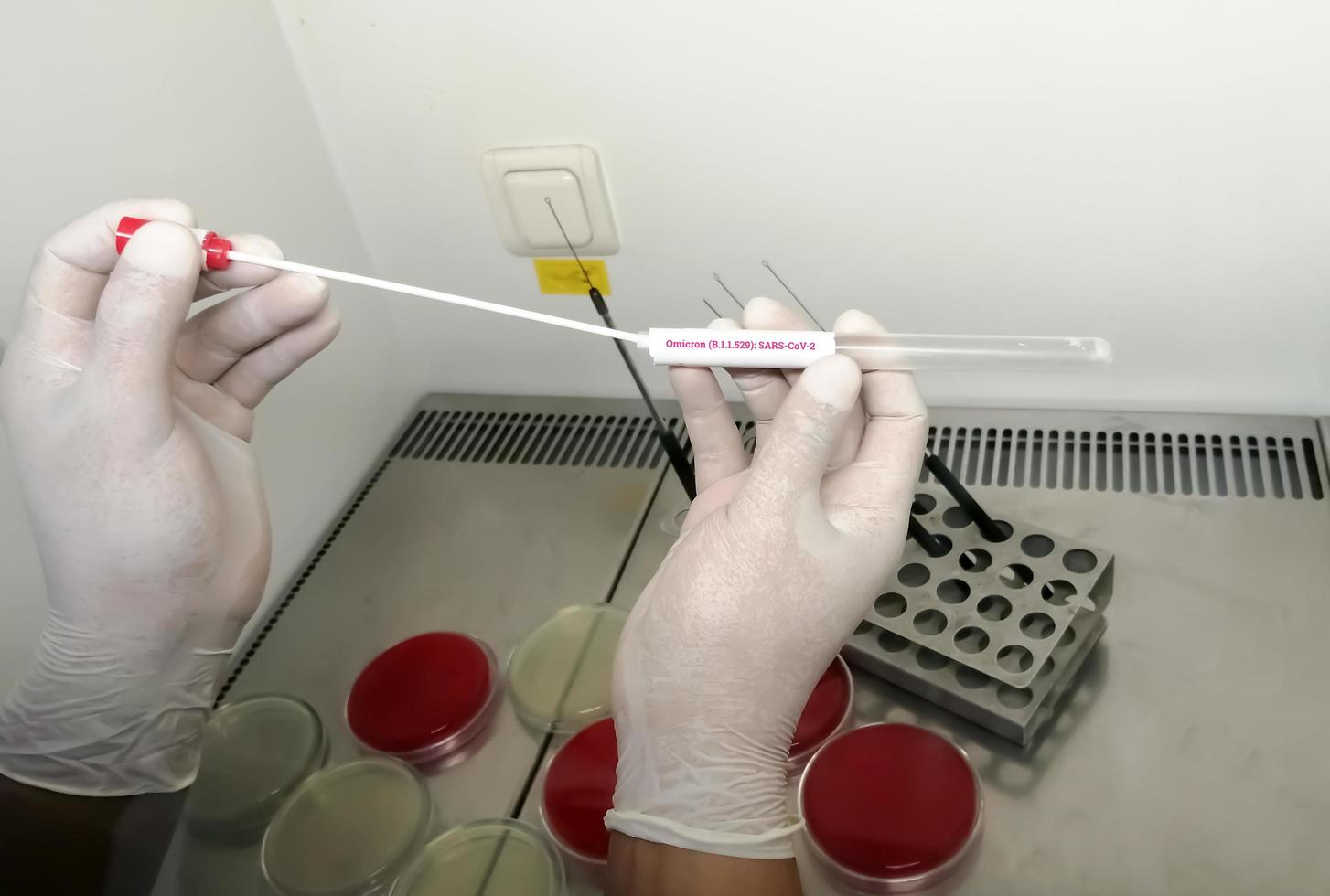 Medical worker holding  NP OP swab sample for COVID-19  Omicron variant test, B.1.1.529, RT-PCR DNA molecular nucleic acid diagnostic. photo