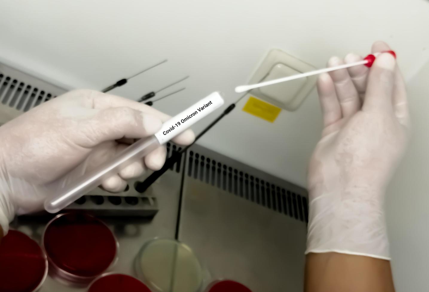 Medical worker holding  NP OP swab sample for COVID-19  Omicron variant test, B.1.1.529, RT-PCR DNA molecular nucleic acid diagnostic. photo