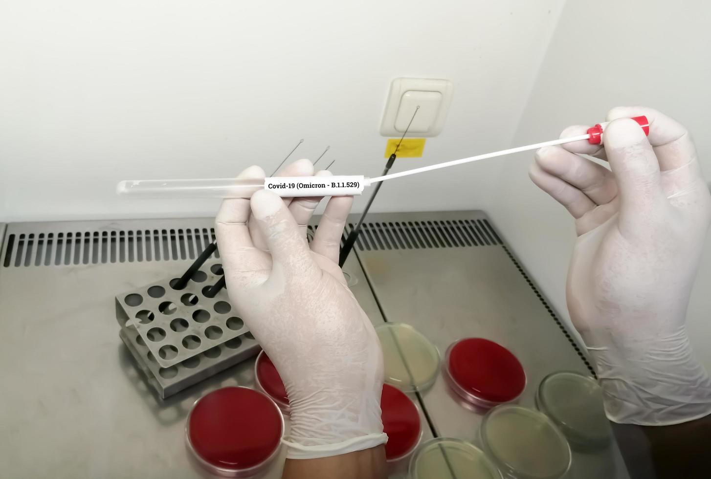 Medical worker holding  NP OP swab sample for COVID-19  Omicron variant test, B.1.1.529, RT-PCR DNA molecular nucleic acid diagnostic. photo