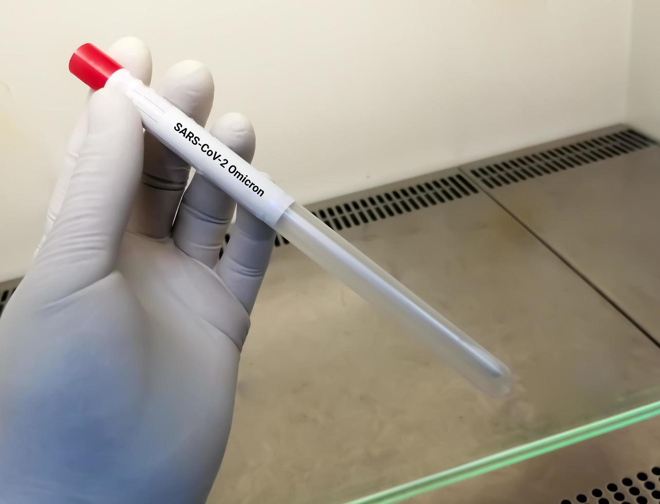 Medical worker holding  NP OP swab sample for COVID-19  Omicron variant test, B.1.1.529, RT-PCR DNA molecular nucleic acid diagnostic. photo