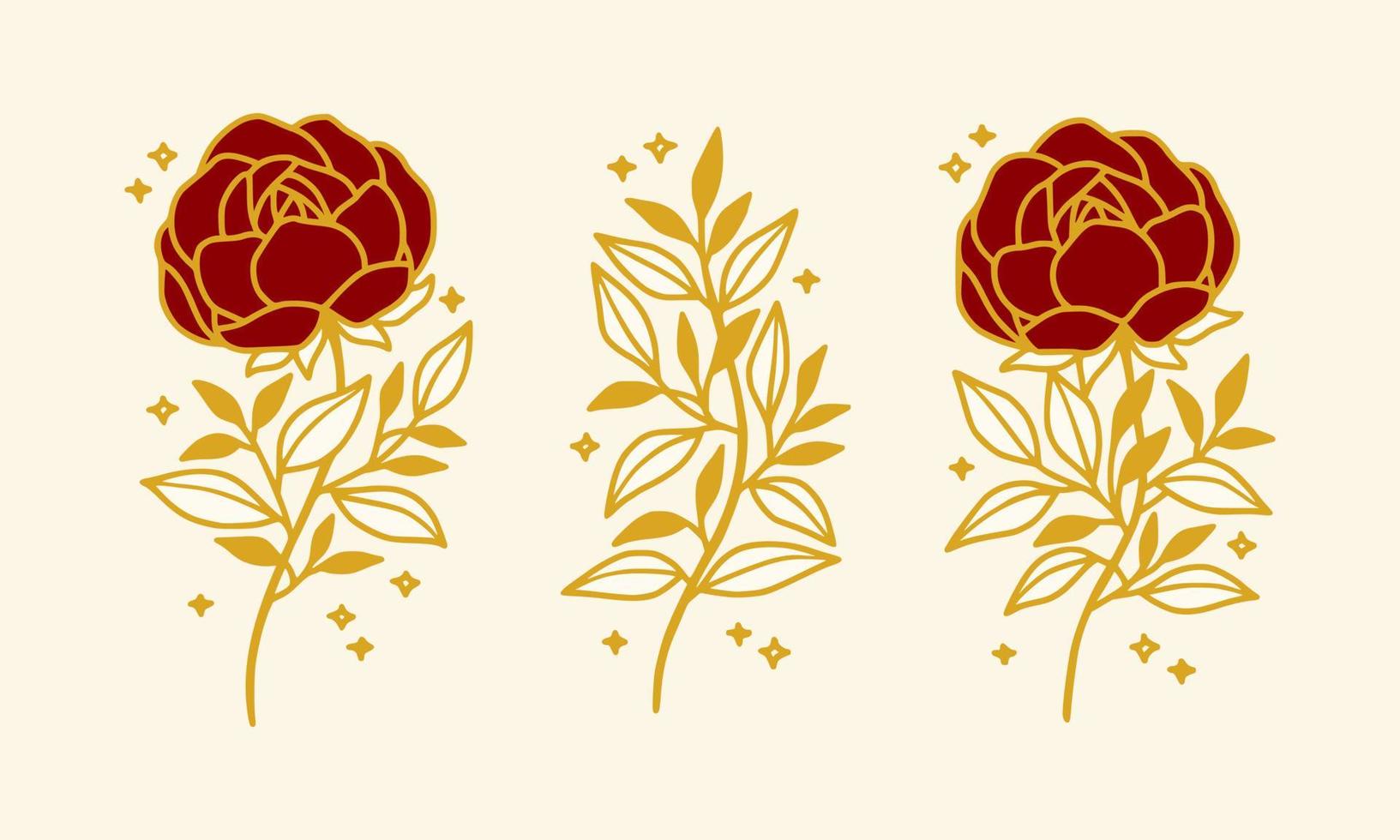 conjunto de elementos de logotipo femenino y belleza de flor de peonía vintage dibujados a mano vector