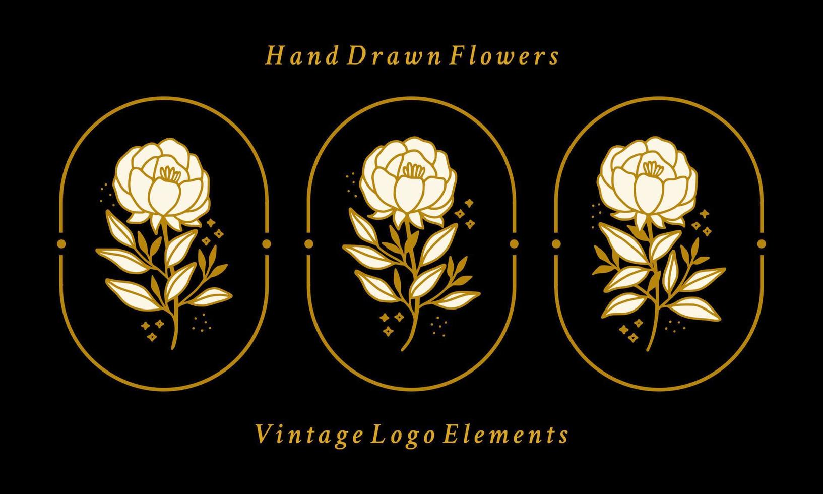 conjunto de elementos de logotipo femenino y belleza de flor de peonía vintage dibujados a mano vector