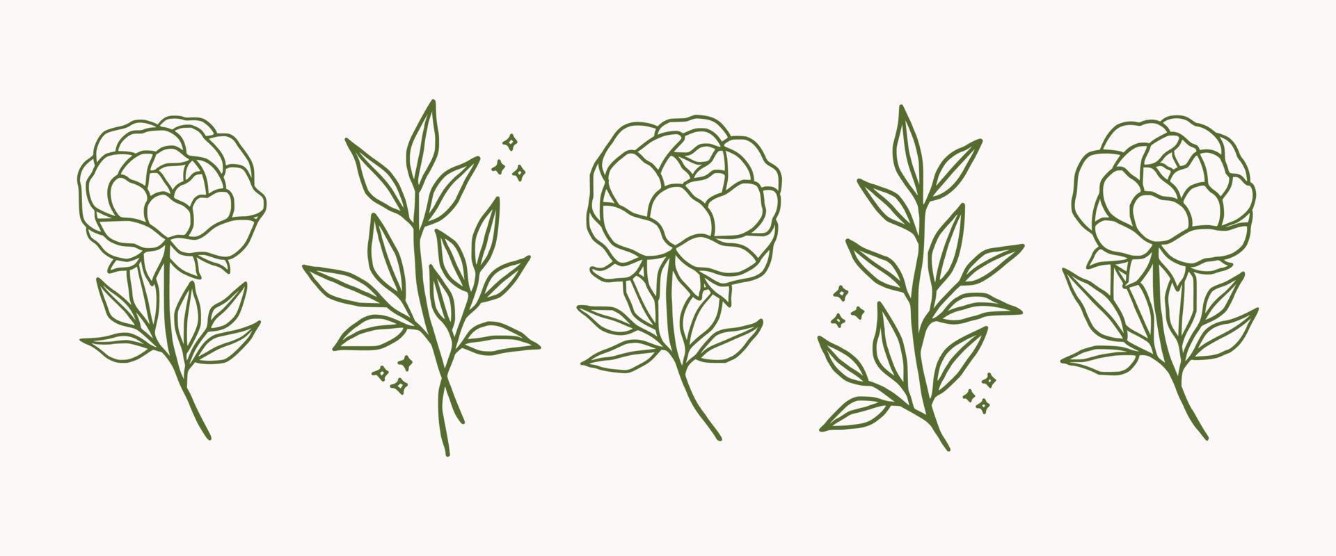 Hand drawn vintage botanical flower linear logo elements vector