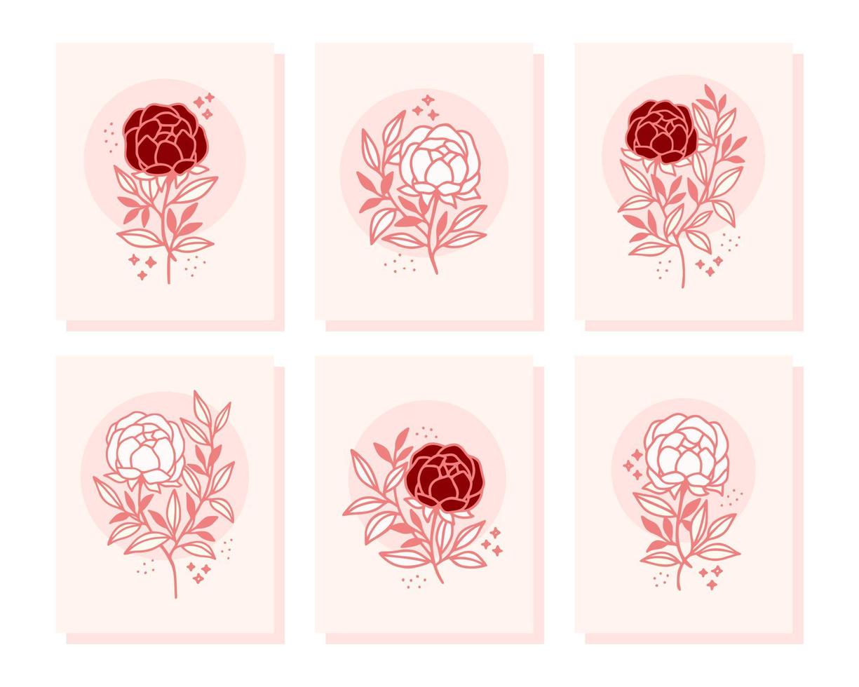 Collection of vintage romantic card templates with rose and peony flowers vector